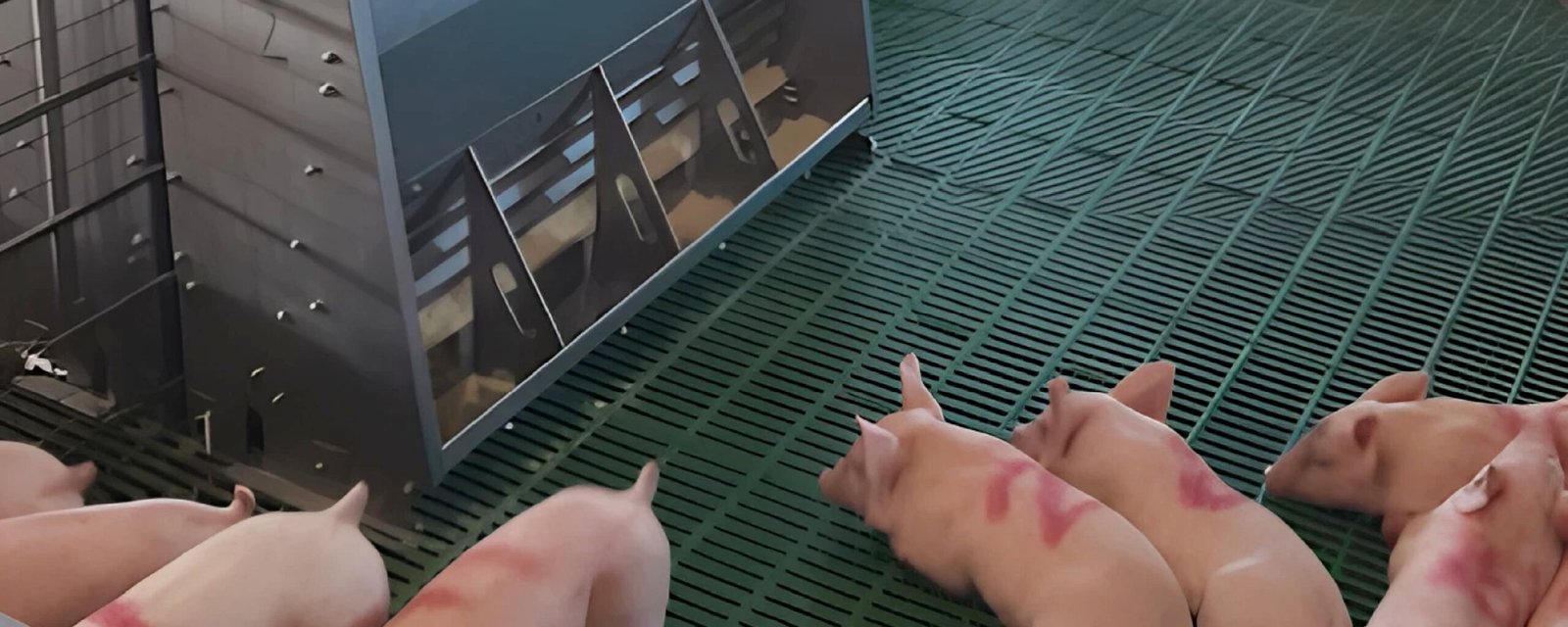 Sin ensayos no hay certezas: Validación en condiciones reales de producción 