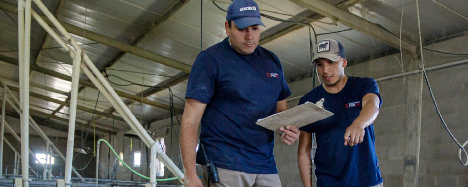 Construcción y gestión de equipos de alto desempeño.