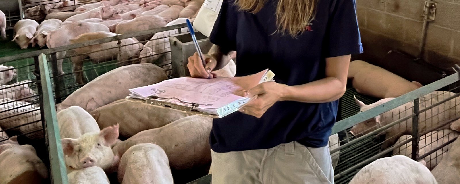 Variabilidad en ensayos comerciales