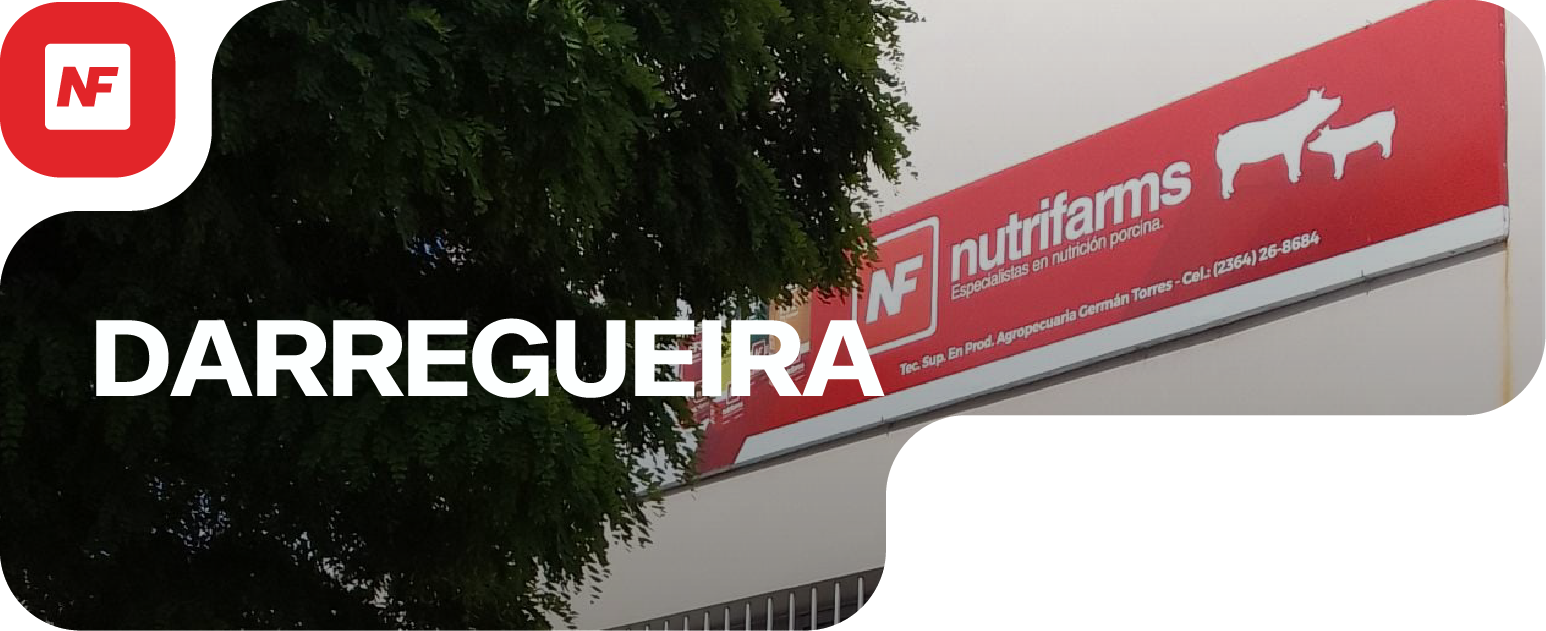 Darregueira