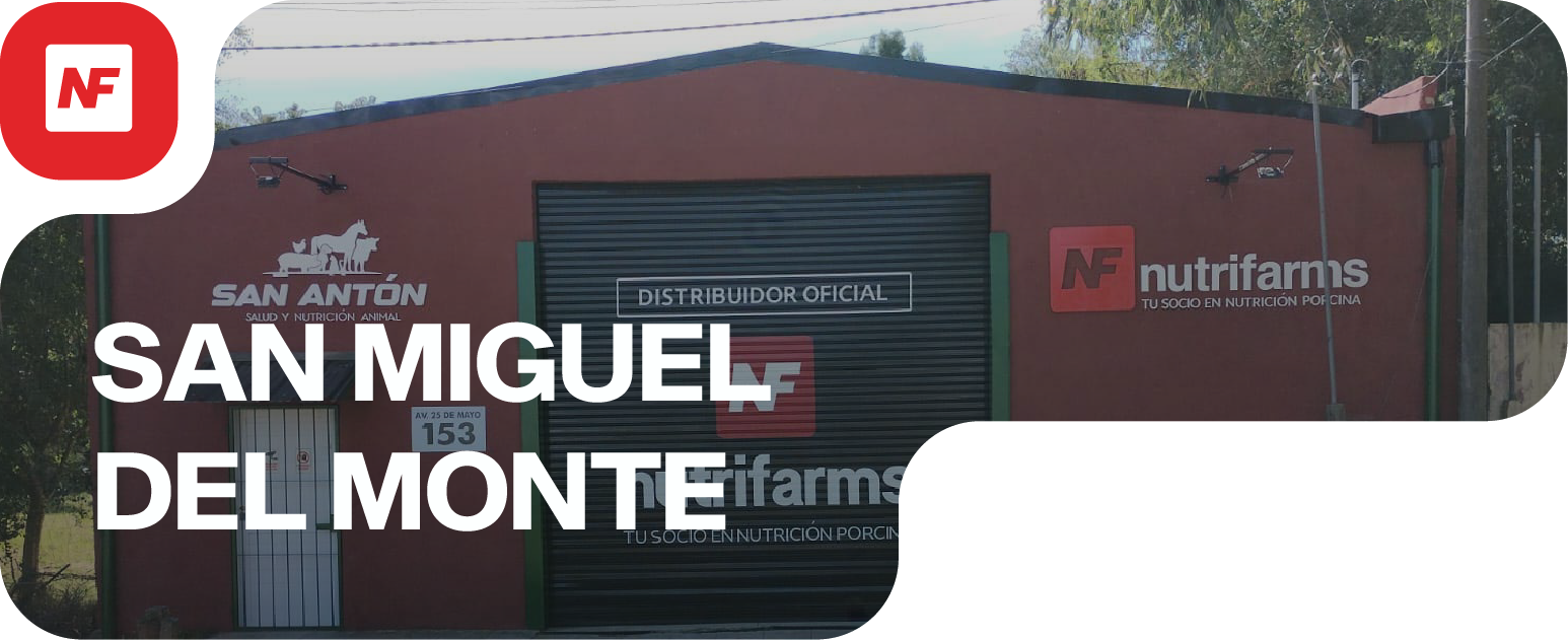 San Miguel del Monte